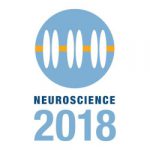 Wide representation at SfN symposium in San Diego, November 2018