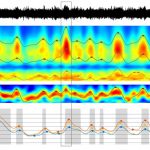 Our latest publication in Nature Communication