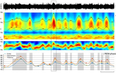 Our latest publication in Nature Communication