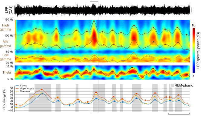 Our latest publication in Nature Communication