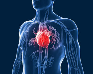 A new research project for the management of heart failure