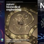 Three cover pages for ultrasound neuroimaging