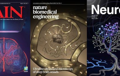 Three cover pages for ultrasound neuroimaging