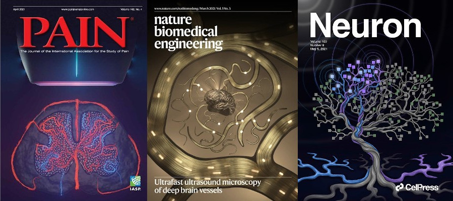 Three cover pages for ultrasound neuroimaging