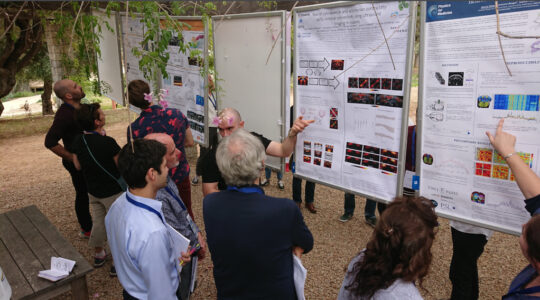 fUSbrain_carrousel_2019