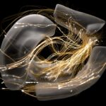 How does the brain adapt as neuropathic pain develops?