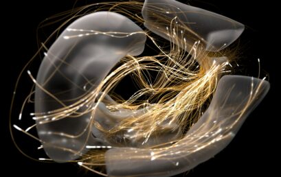 How does the brain adapt as neuropathic pain develops?